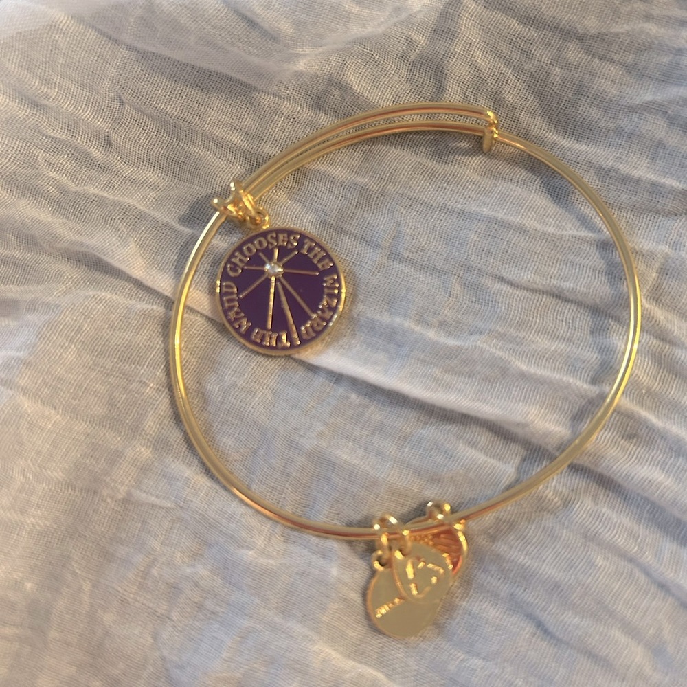 Harry Potter Alex and Ani , the wand chooses the wizard!